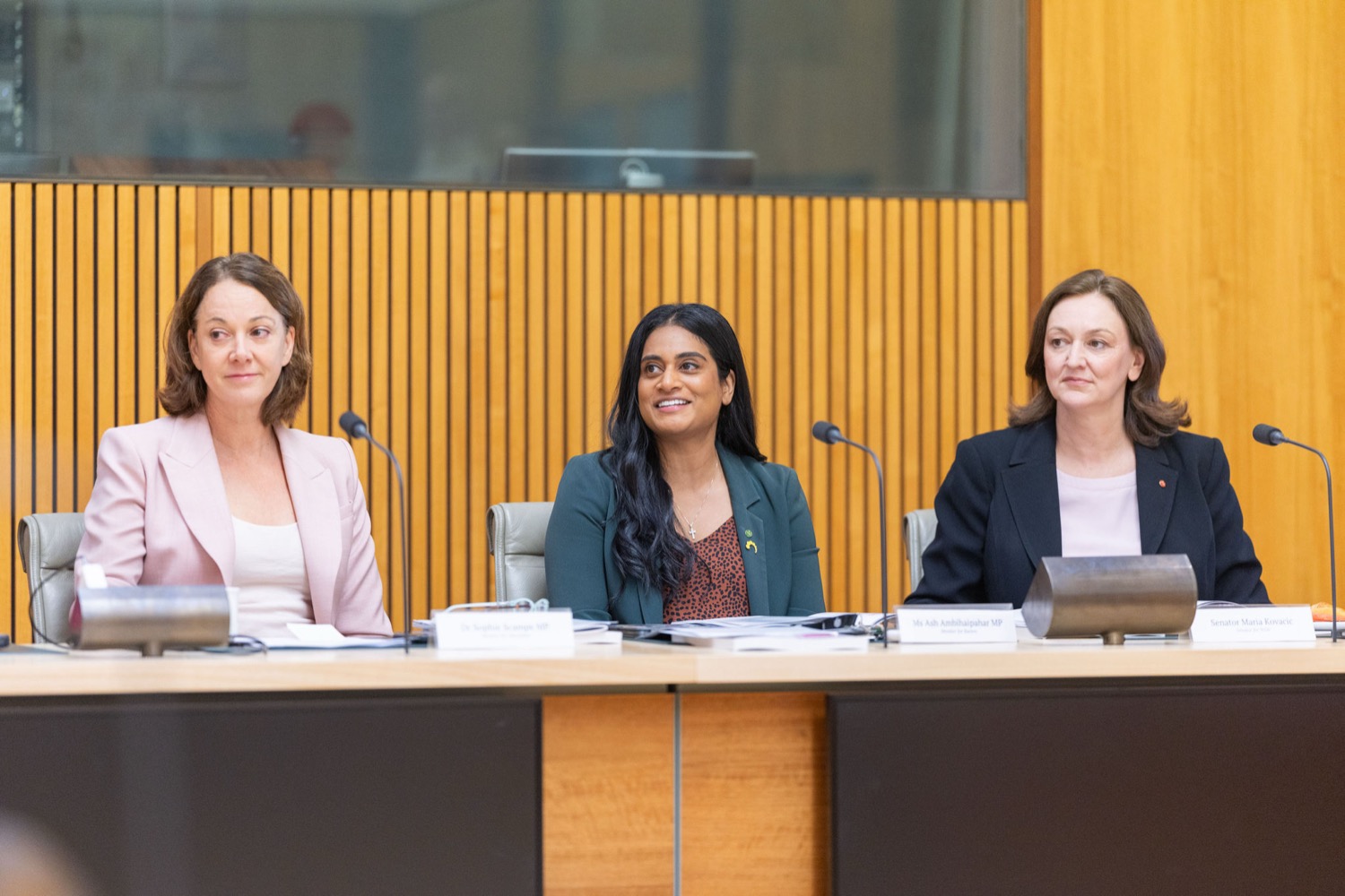 The three co-chairs of the Parliamentary Group for Future Generations seated at the committee table.