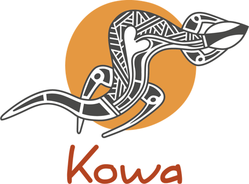 Kowa Collaboration